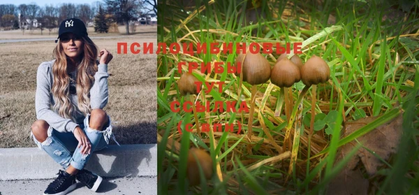 спиды Армянск