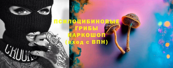 прущий лед Арсеньев