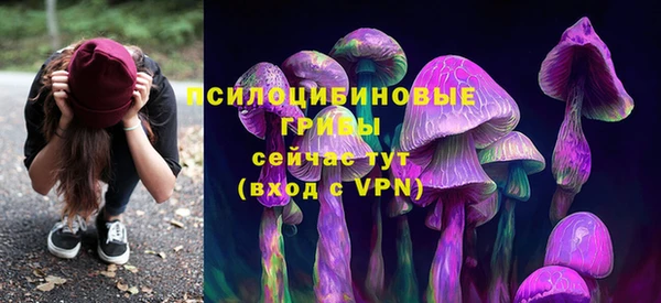 а пвп мука Аркадак
