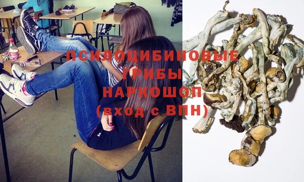 прущий лед Арсеньев